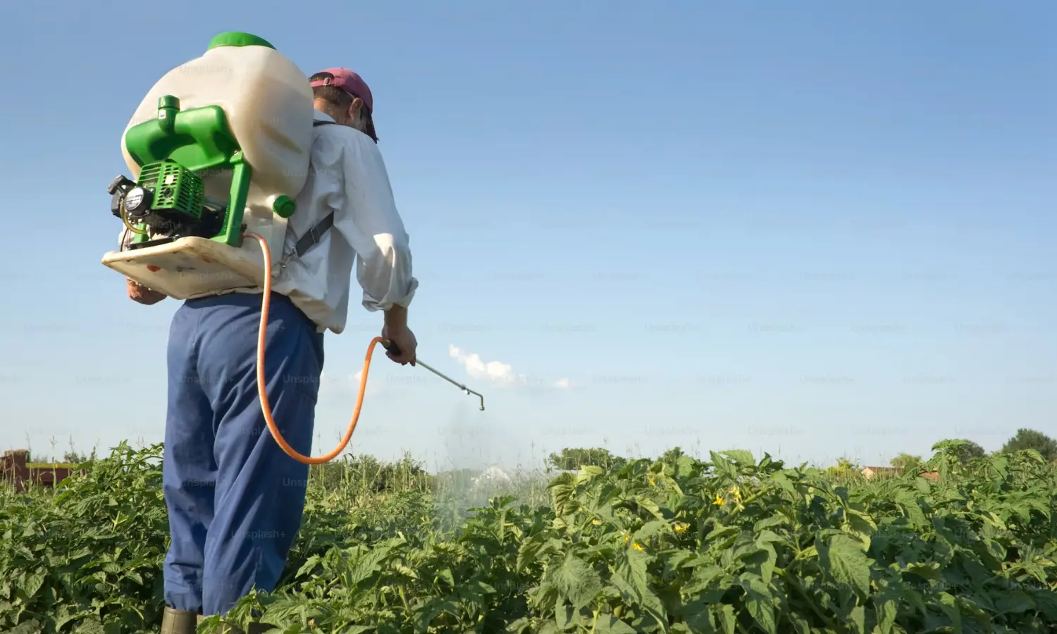 Produtor rural aplicando defensivos agrícolas na lavoura após seletividade de herbicidas