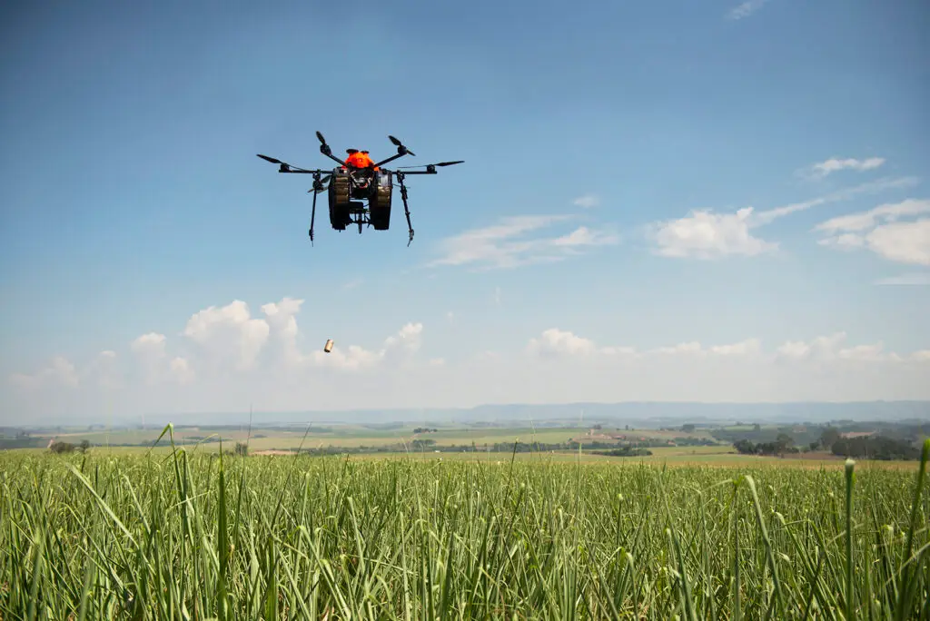 Liberação massal de Cotesia flavipes, parasitoide da broca-da-cana-de-açúcar, via drone.