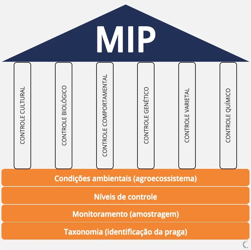 Alicerce e pilares que sustentam o Manejo Integrado de Pragas.