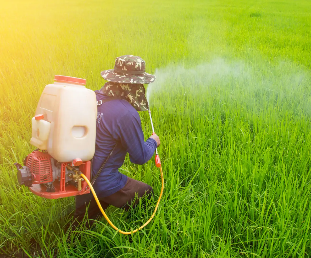 Aplicação de defensivos agrícolas na lavoura