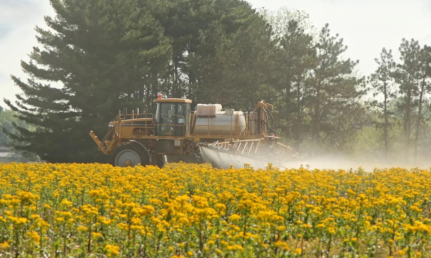 Pulverização de defensivos agrícolas na lavoura