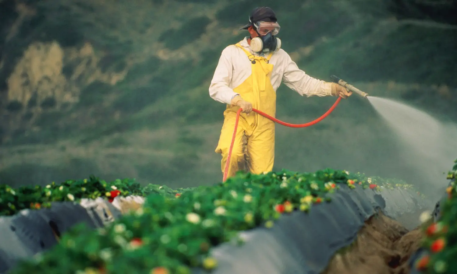 Produtor rural realizando a aplicação de agrotóxicos na lavoura