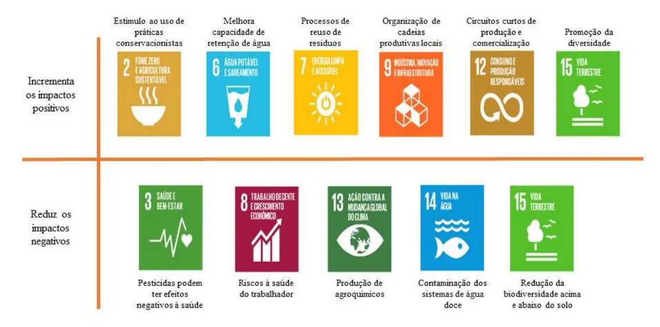 Diversos ODS se relacionam com os bioinsumos, potencializando seus impactos positivos e/ou reduzindo os impactos negativos