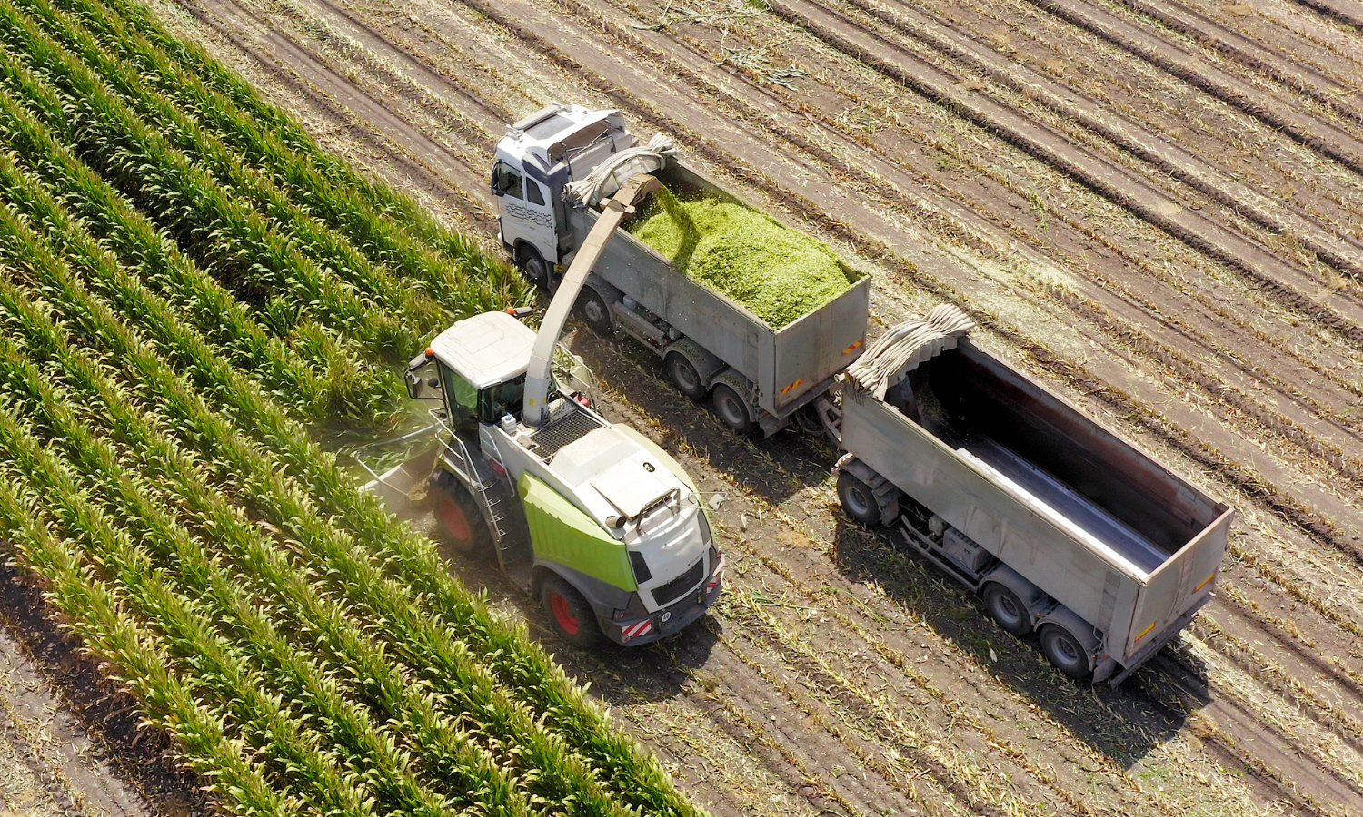 BANNER BLOG – 2025-10-01T120141.148