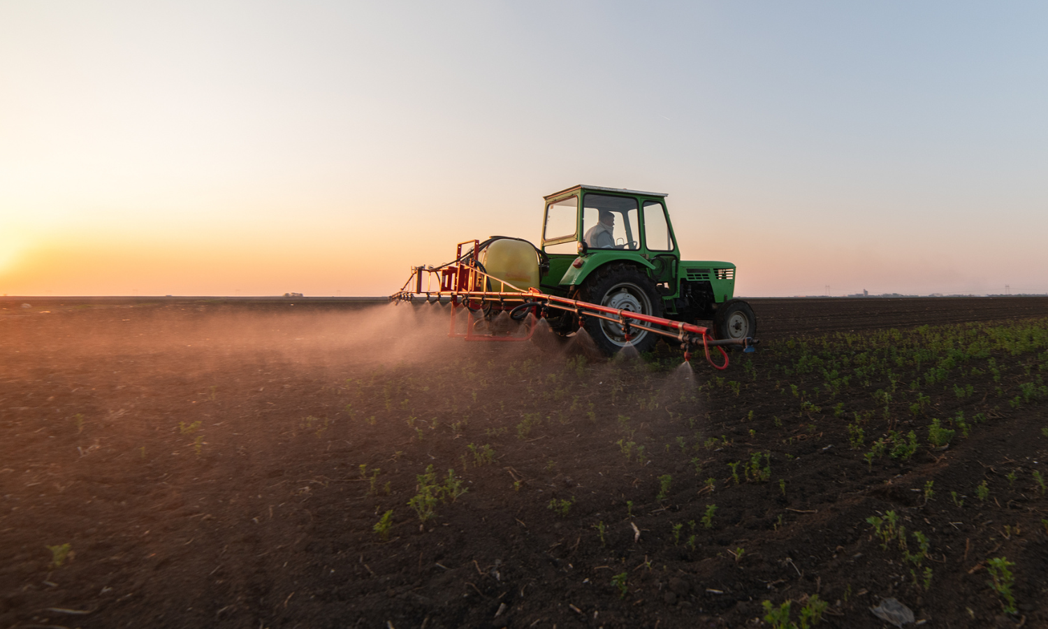 BANNER BLOG – 2025-12-17T112329.857