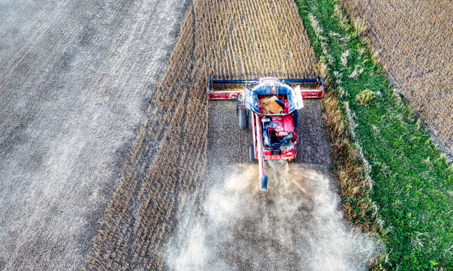 BANNER BLOG – 2025-12-22T095658.639