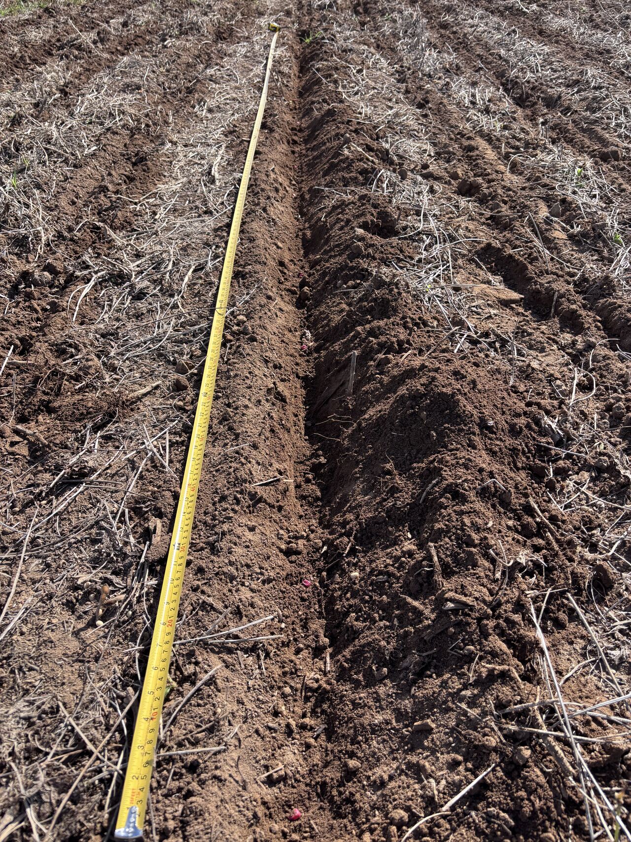 Preparo e manejo de áreas produtoras de milho.