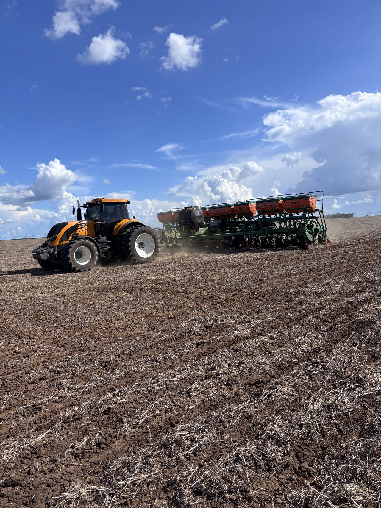 Preparo e manejo de áreas produtoras de milho.