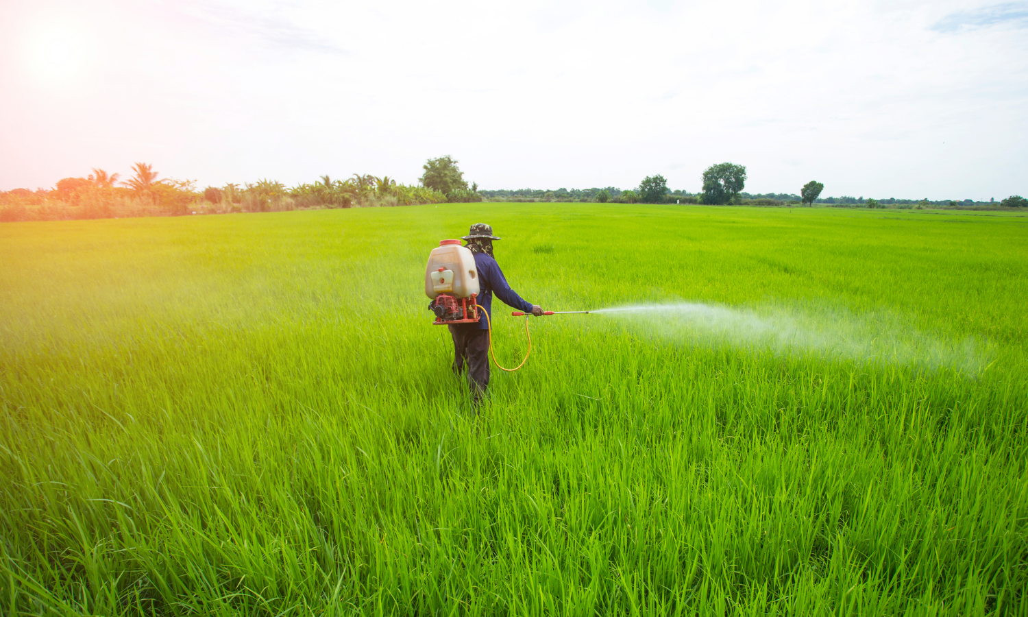 Trabalhador rural aplicando defensivo agrícola