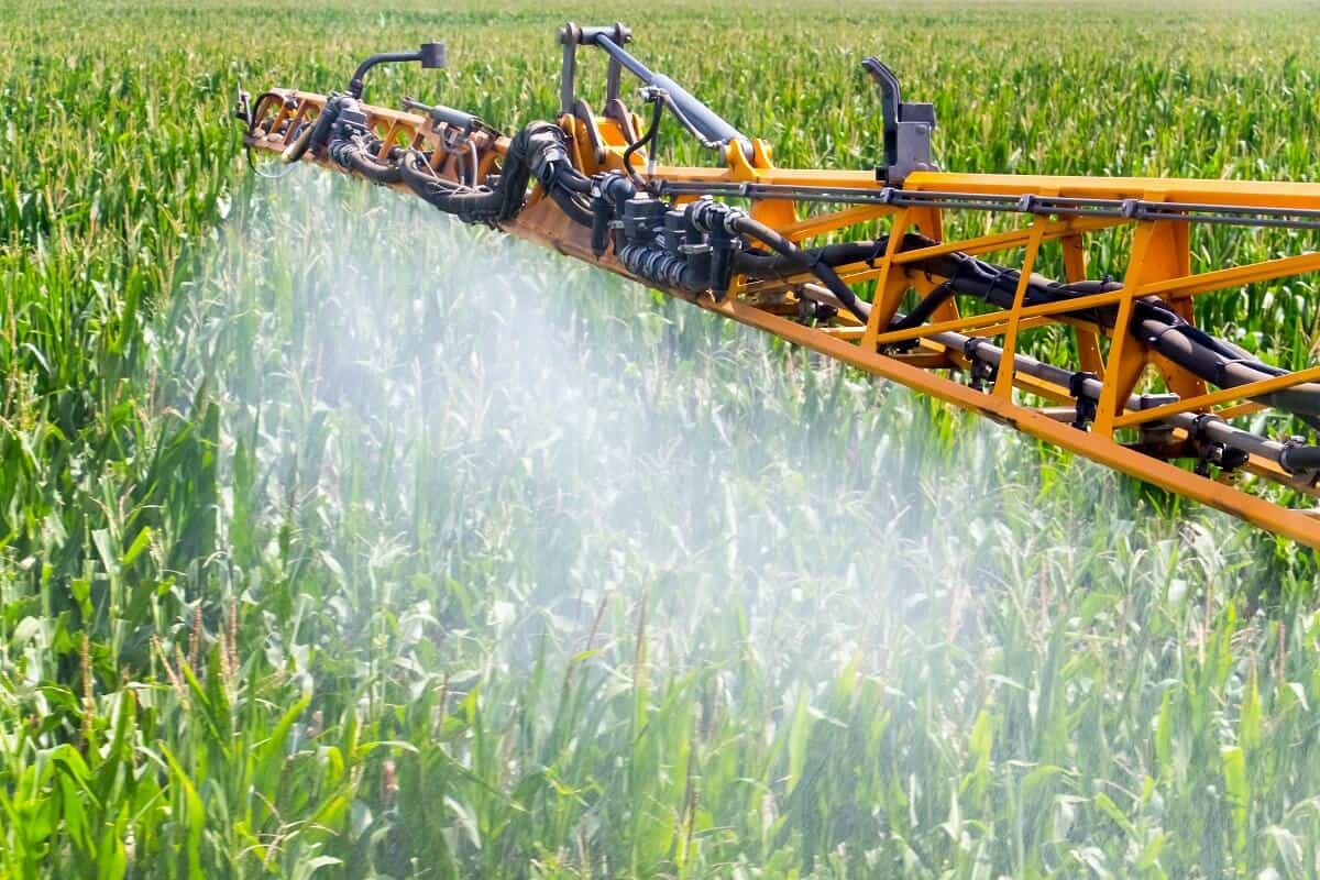 Manejo de áreas de milho com aplicação de produtos químicos.