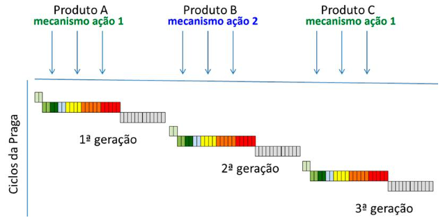 Esquema de rotação de mecanismos de ação em inseticidas