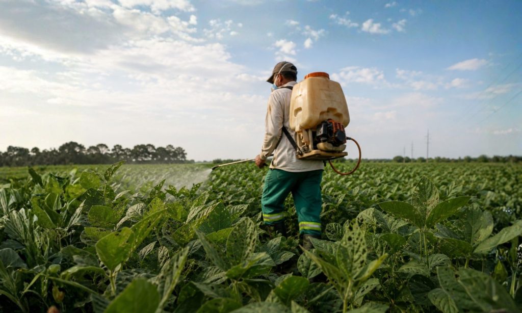 Homem aplicando inseticida em campo agrícola