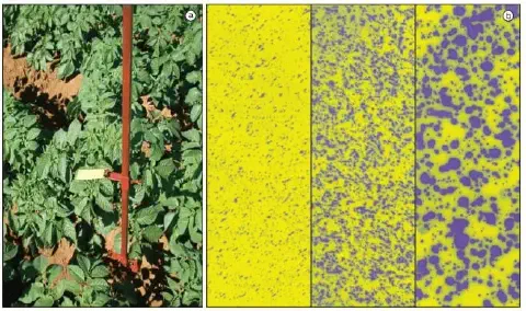 Avaliação da deposição de gotas em papel hidrossensível sob diferentes pontas de pulverização: atomizadores rotativos, cone vazio (MAG-2) e jato plano duplo com indução de ar (AD/IA/D 11002). (Fonte: Ferreira et al., Universidade Estadual Paulista – UNESP).