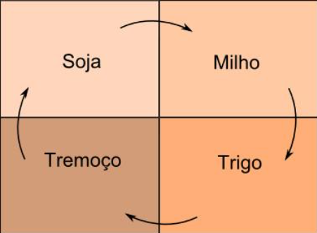 Sistema esquemático de rotação de culturas para manejo de fitonematoides
